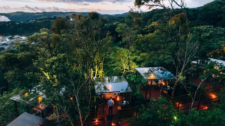  San Lucas Treetop Dining Experience_2