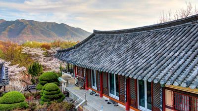 A Korean temple stay works as a perfect health and wellness retreat.