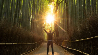 A Guide to Transformational Travel