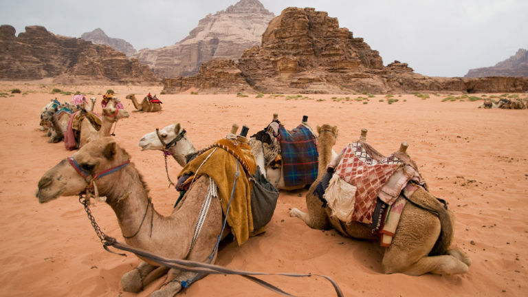 A new map for tourists helps direct visitors to community businesses, as well as to The Jordan Trail, which runs through Wadi Rum. // © 2018 Getty Images