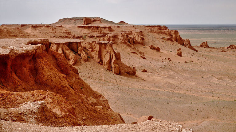 American paleontologist Roy Chapman Andrews discovered fossils of the first dinosaur eggs at the Gobi Desert's Flaming Cliffs in the 1920s.