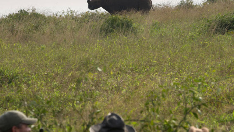 AndBeyond properties take guests on thrilling game drives. // © 2017 AndBeyond