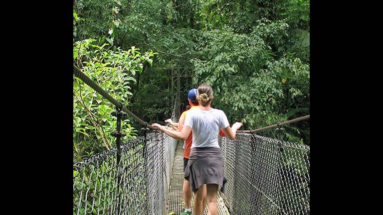 At the Mistico Arenal Hanging Bridges Park, 15 bridges allow visitors to view birds and wildlife from above the forest canopy. // © 2017 Janice Mucalov