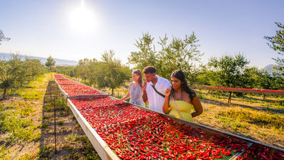 Contiki is expanding to Albania for the first time.