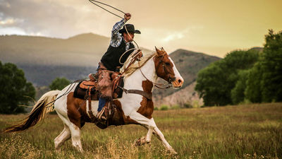 Dude Ranchers' Association