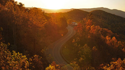 Fall foliage is leading to increased interest in visiting Asheville, North Carolina, this season.