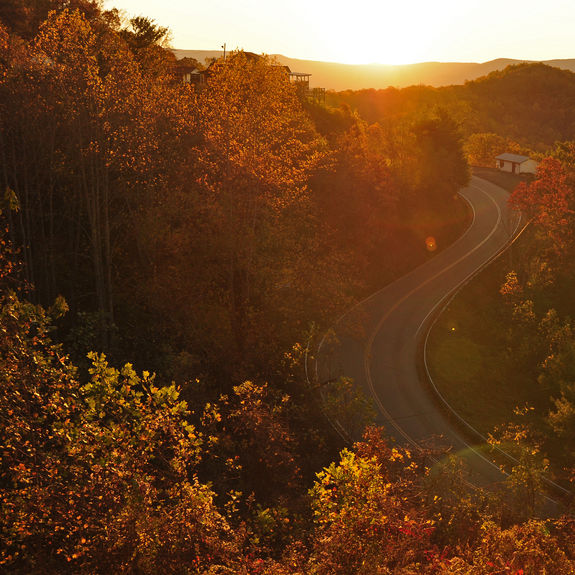Fall foliage is leading to increased interest in visiting Asheville, North Carolina, this season.