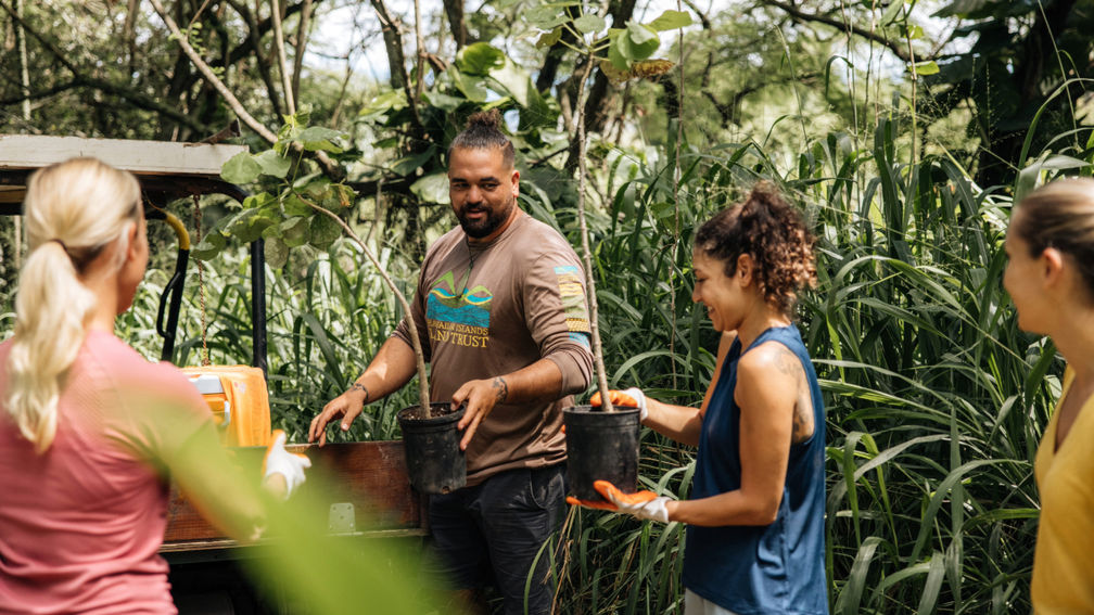 Find Sustainable Island Experiences With the Meaningful Travel Map of Hawaii