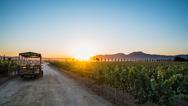 Guests at El Cielo can enjoy on-site luxury suites and villas, participate in tastings, sign up for wine workshops and stargaze during meteor shower season.