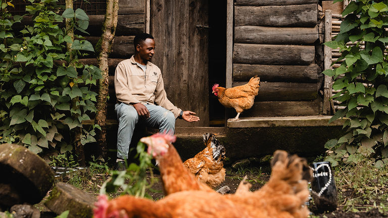 Guests can go on guided community walks.