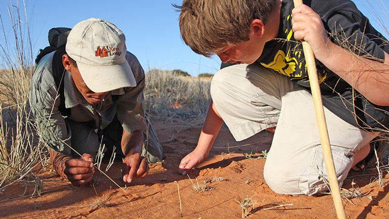 Guests have opportunities to learn from the trained guides. // © 2016 !Xaus Lodge