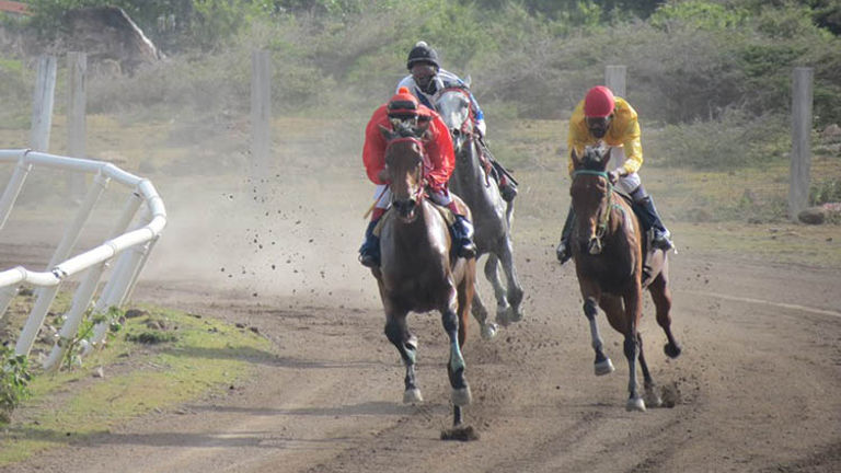 Horse racing at Indian Castle racetrack will return this winter. // © 2016 Nevis Horse Racing