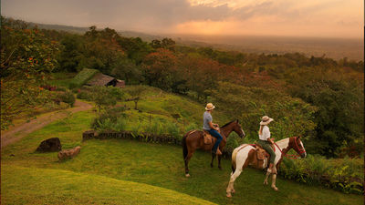 Origins Lodge immerses guests into 111 acres of untouched nature.