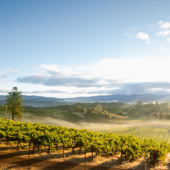 HunterMoss has launched its luxury road trips in the U.S.