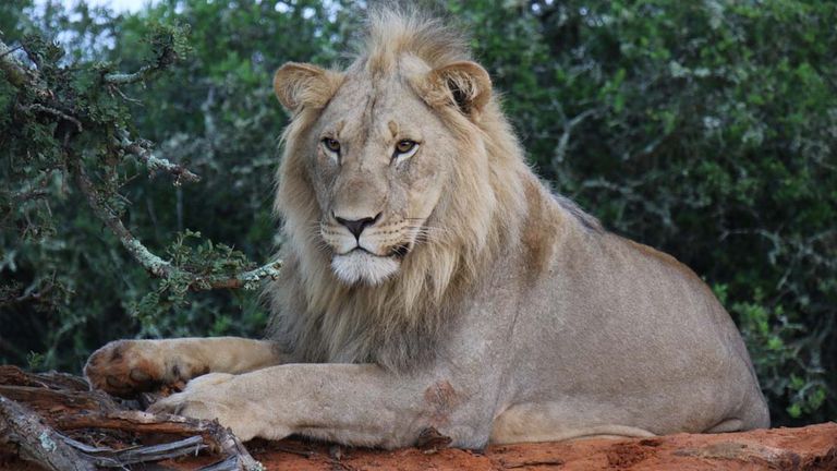 johnhallsalaskasouthafricatour