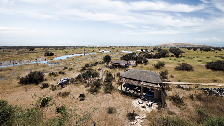 Kenya's Amboseli National Park is home to incredible wildlife.