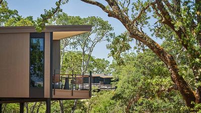 montagehealdsburgreview