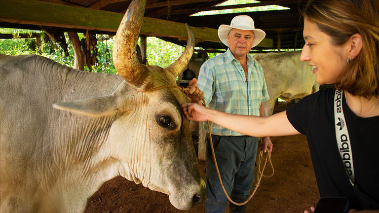 Nantipa offers interactive farm visits for guests.