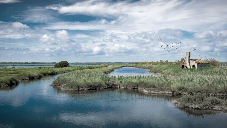 On a visit to Po Delta, guests learn about the flora and fauna of the reserve from an expert guide.