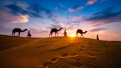 Exodus customers can ride African camels in Morocco.