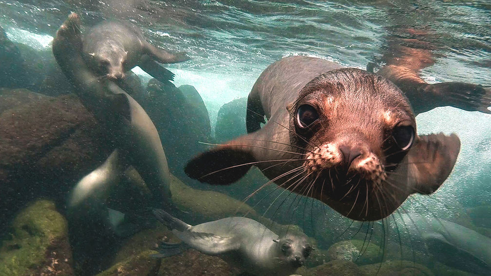 Review: Touring Ecuador and the Galapagos Islands With Exoticca