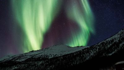 Touring Norway in the winter means darker days — and earlier opportunities to spot the northern lights.