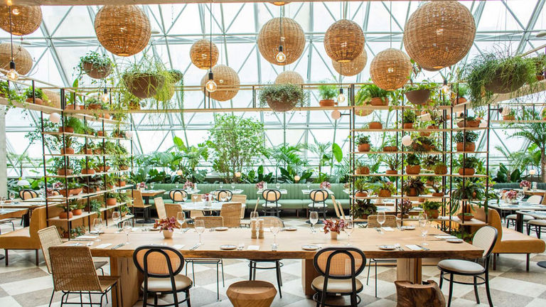 Terraco Jardins is located in a greenhouse-like setting.