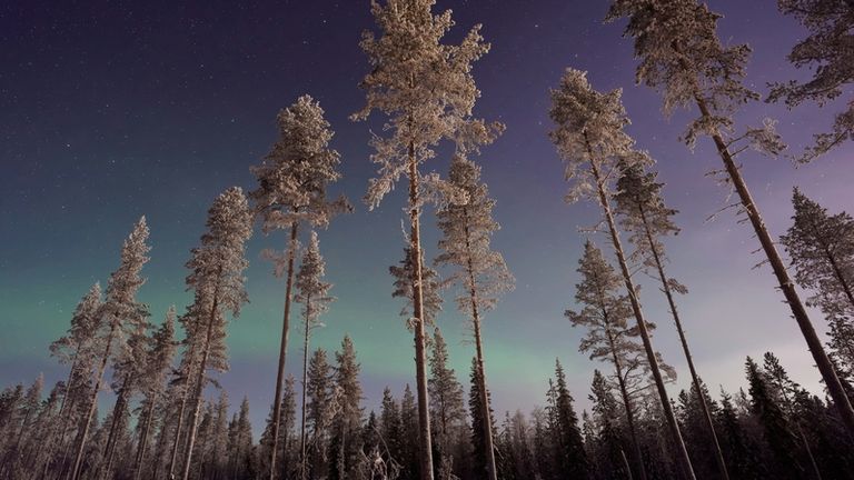 The northern lights are expected to be their brightest in an 11-year solar cycle in 2026.