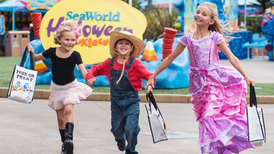 This year, families can celebrate Halloween while the kids are still out of school.