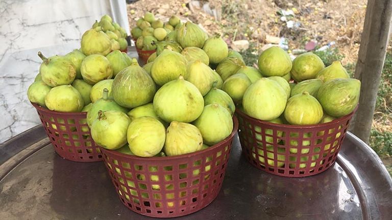 Travelers can pull over to the side of the road for a basket of ripe figs. // © 2017 Giselle Abcarian
