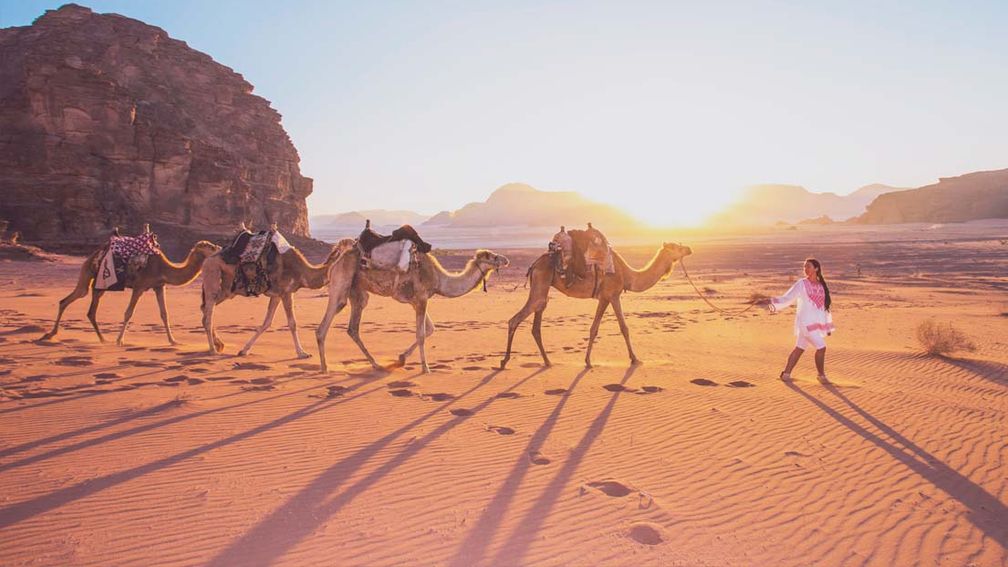 whataredestinationmanagementcompanies