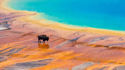 The U.S. National Parks system preserves treasured American land, and it needs traveler support now more than ever.