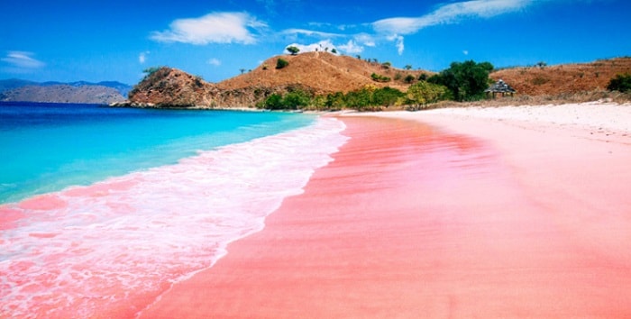 pink beach komodo island