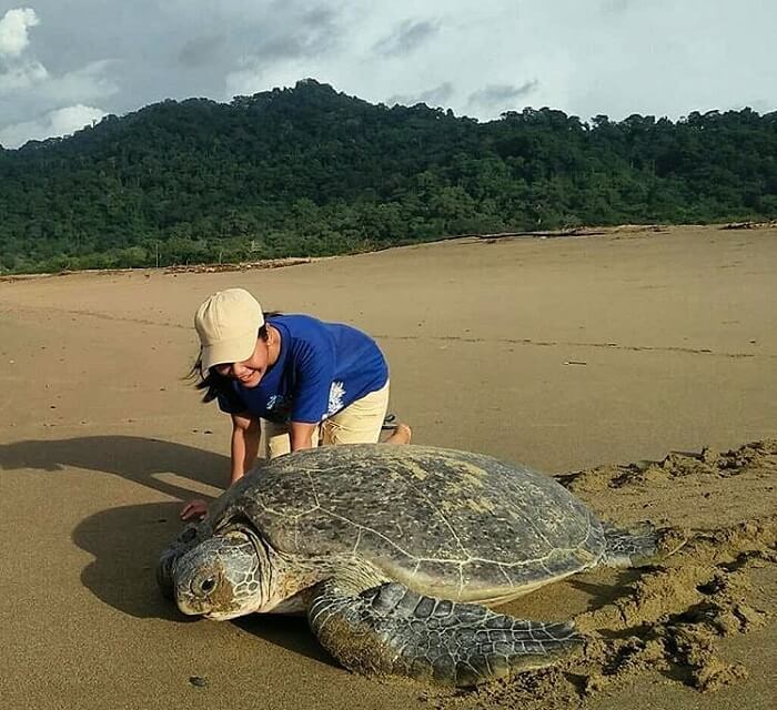 pantai sukamade